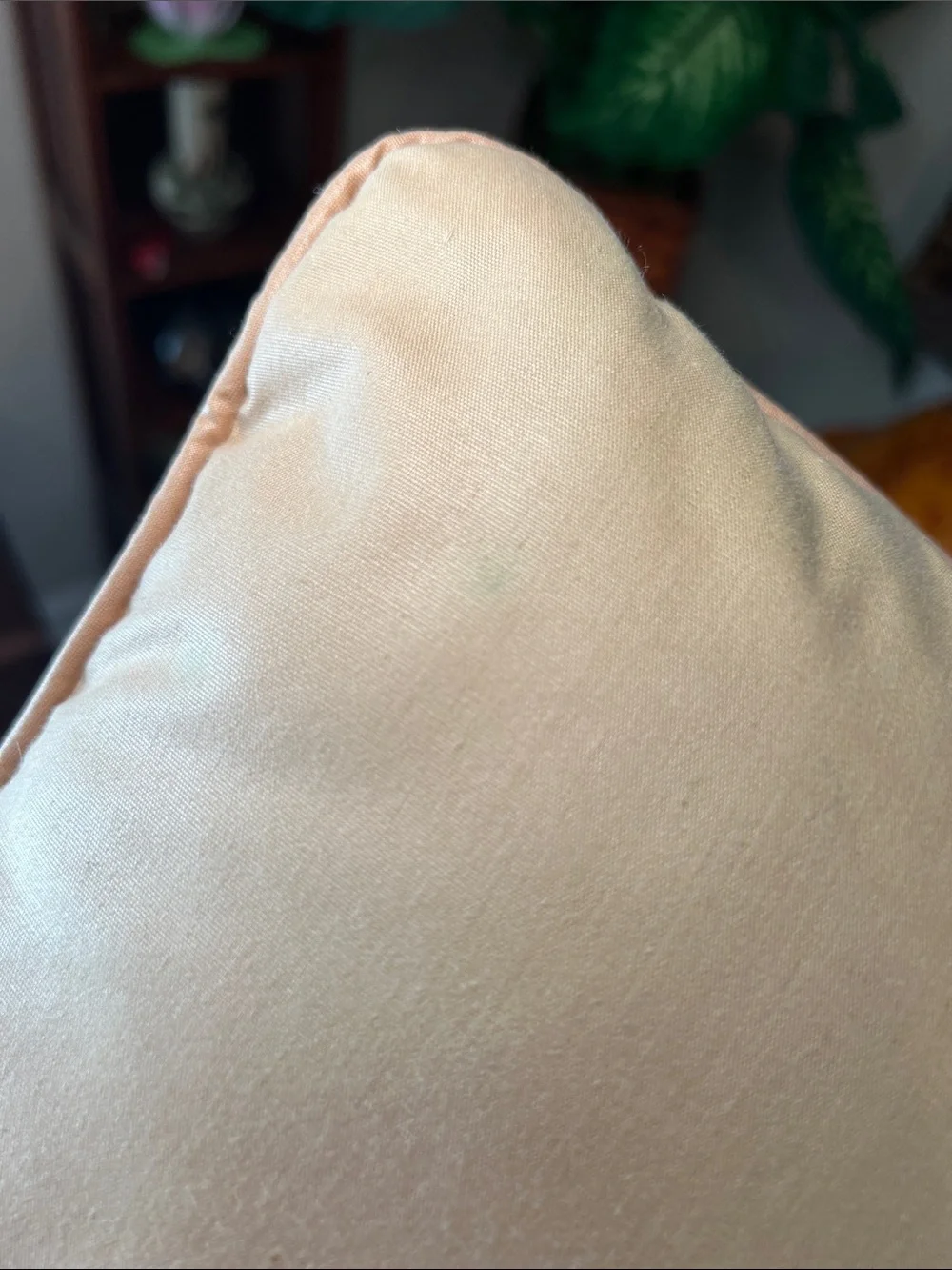 Vintage Persian Cat Accent Pillow Throw Pillow